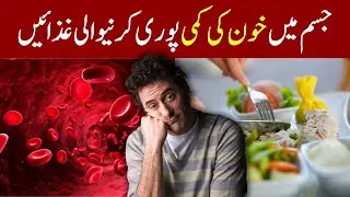 Foods that help increase blood in the body