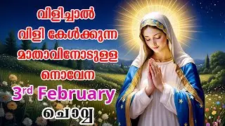 3rd February 2026 | വിളിച്ചാൽ വിളി കേൾക്കുന്ന മാതാവിന്റെ നൊവേന  | VachanamTV #novenaprayer #novena