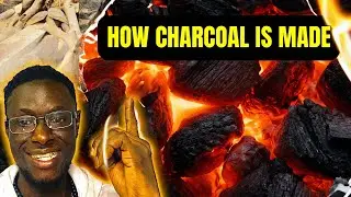 How Charcoal Is Made in Nigeria&mdash;Inside the Charcoal Business (Full Documentary)#truestory #charcoal 