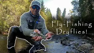 Fly Fishing The Upper Clackamas River! SURPRISED To Find Some Eager Trout!