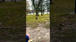 Brooke Playing with the squirrel Part 2