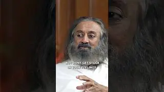 How Important Are Our Feelings? | Gurudev