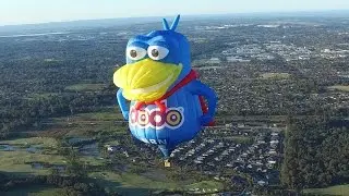 Dodo Hot Air Balloon