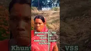 Floriculture alternative livelihood, OFSDP-II, Rengali FMU, Sambalpur Forest Division