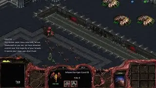 Kerrigan gets trapped by the Cerebrates within the Ruins of Augustgrad