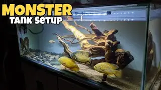 Monster Fish Tank Setup | Aquarium Decoration Ideas
