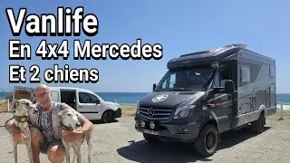 Vanlife Mercedes Hymer 4x4 et ses deux chiens