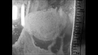 Evidence Photography - Fingerprints