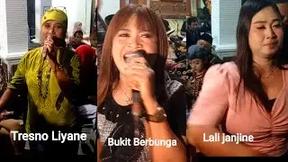 TRESNO LIYANE // LALI JANJINE // BUKIT BERBUNGA SENI GAJAH WOKO MOROSARI 