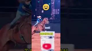Tytt&ouml; teki upean esityksen hevosensa kanssa! 🐎✨
