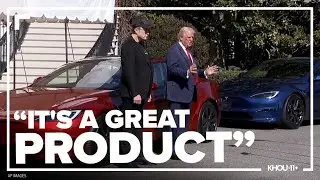Trump selects a new Tesla on White House driveway to show support for Elon Musk
