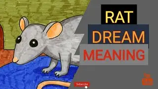 Rat dream meaning | Seeing rat in dream | Islamic dream interpretations
