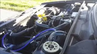 300PS & 393Nm G60 (G65) 8v Theibach-Performance Pr&uuml;fstand bei Kotte Performance