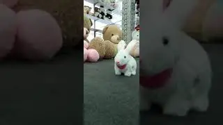 Walking Rabbit Toy #shorts