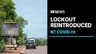 NT records 256 new cases of COVID-19, plunged into snap lockout | ABC News