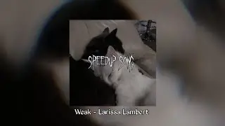 weak - larissa lambert speed up