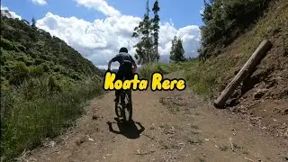 Koata Rere Codgers