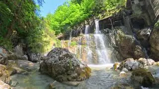 Calm Nature Ambience 🌿 35 Minutes to Relax Your Mind and Body.