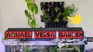 Aquael Versa Garden - Installation und Bepflanzung