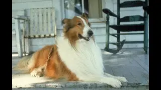 Lassie (1994) ORIGINAL TRAILER [HQ]