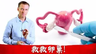不要輕意切除卵巢! 自然療法,柏格醫生 Dr Berg
