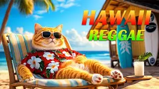 Happy Orange Cat ~ Chill Hawaiian Rhythms for a Joyful Day 🌞