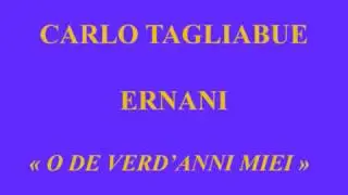 Carlo Tagliabue   Ernani   Oh dé verd'anni miei   Voce del Padrone   DB 11303 enregistré ca 1949