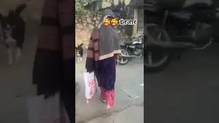 इंतजार #animallife #animal #straydog #viralvideo #doggielife #streetdog #ytshorts #youtubeshorts