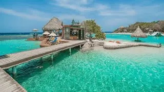 BEST DEAL!! Port of ROATAN, LITTLE FRENCH KEY, + SLOTH AND MONKEY ENCOUNTER, + GUIDED SNORKELING
