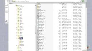 82 Database Links
