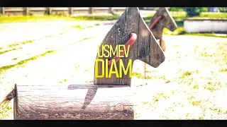 DIAM - &Uacute;SMEV (OFFICIAL VIDEO)