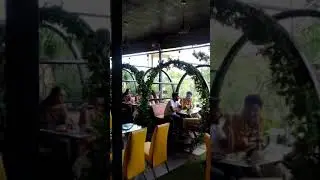 RESTAURANT PROMO VIDEO | 4K VERTICAL CINEMATIC | THE ROOF TREE
