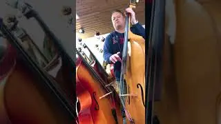 1952 KAY M-1B Kontrabass mit Kolsteins VariCor strings