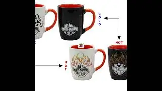 Bengal Harley-Davidson | Official Harley-Davidson Merchandise