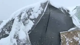 Снежок