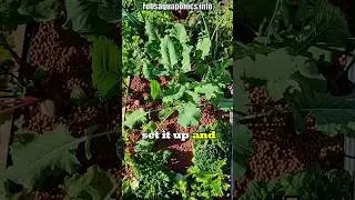 Aquaponics Design - Locating Your System #aquaponics