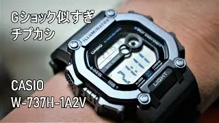 CASIO W 737H 1A2V