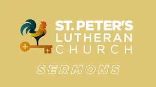 The Cathedral & The Quick Fix: A Christmas Day Reflection