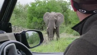 Rehab in South Africa: Experience Restoration in an Environment Like None Other