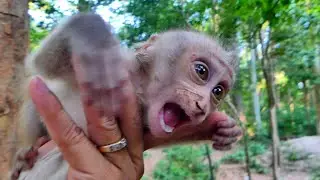 Most beautiful moment Lily much happy play on my hand