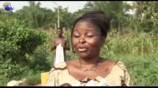 A la découverte de DOGBO