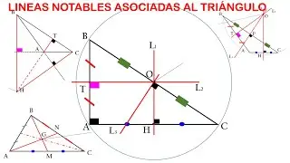 LÍNEAS NOTABLES ASOCIADAS A UN TRIÁNGULO