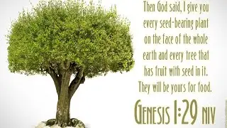Should We Be Vegan Or Vegetarian According To the Bible:Full Study Explained