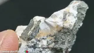 Thomsonite Thomsonit 39,3mm 🤍 Lomba dos Pianos - Sintra Lisabon (PT) 🇵🇹 -- www.rossminerals.com