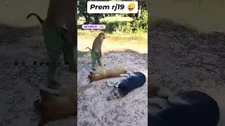 #funny #comedyflim #comedymovies #automobile #ilovefilm #prem#rj19