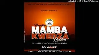 Bhudza Bee - Imi Mwari Wangu - Mamba Kwedza Riddim Produced By Mastercard GYFM Studio
