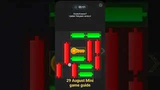 29 August Mini game guide Hamster kombat / Гайд миниигры Хамстер #hamsterkombat #games #хамстер #btc