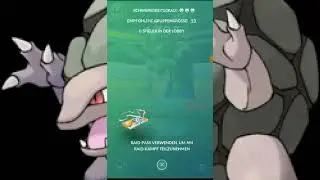 Sichlor Solo Raid
