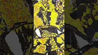 My Reptile Series www.fineartamerica.com/profiles/cecil-artist #morphmarket