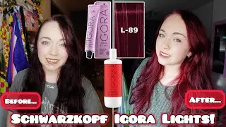 ДЕМО | Schwarzkopf Igora Royal Fashion Lights L89